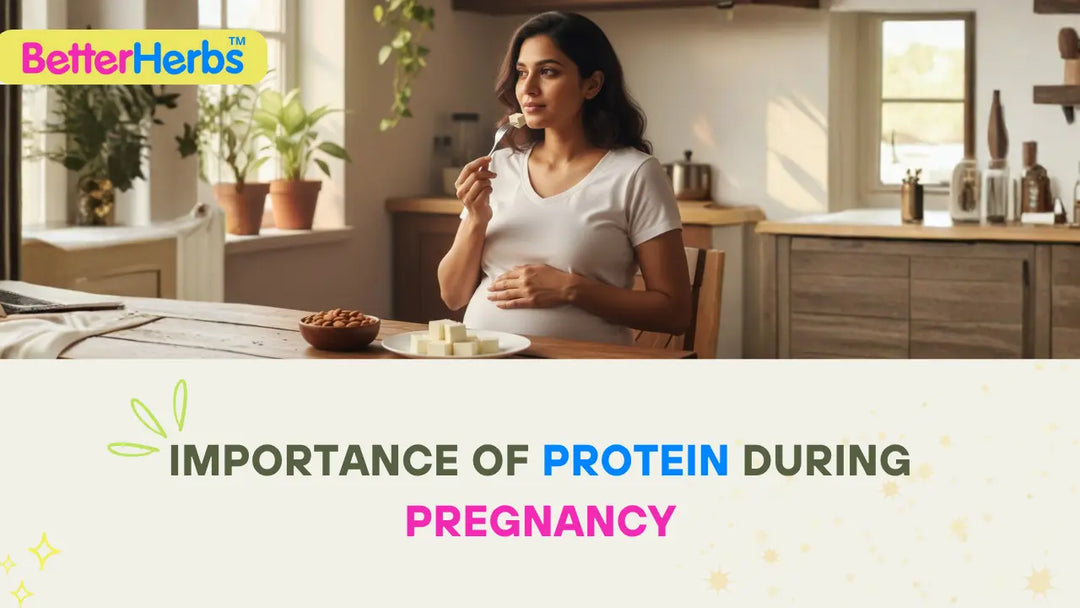 Why Protein Matters During Pregnancy: A Complete Guide for Moms-to-Be