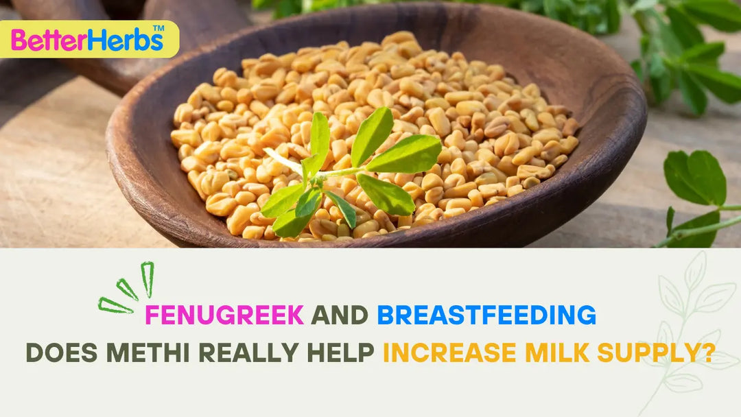 Does Methi (Fenugreek) Increase Breast Milk Supply? What Every Breastfeeding Mom Should Know