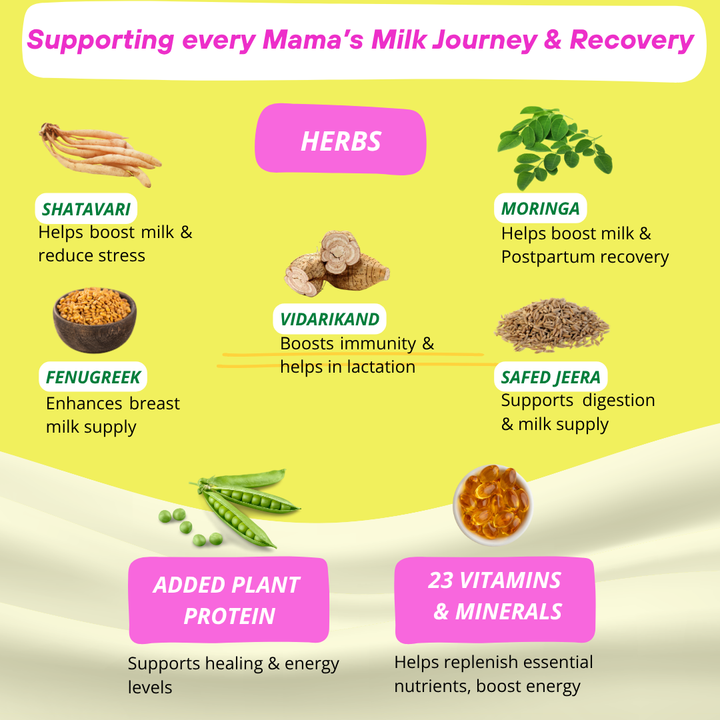 Lactify Lactation Protein Powder for New Moms | Better Milk Production + Weight Management + Postpartum Recovery | No Refined Sugar