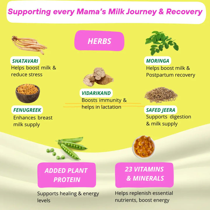 Better Herbs Lactify Lactation Protein Powder Vanilla 325 gm Herbs and 23 essential vitamins and minerals