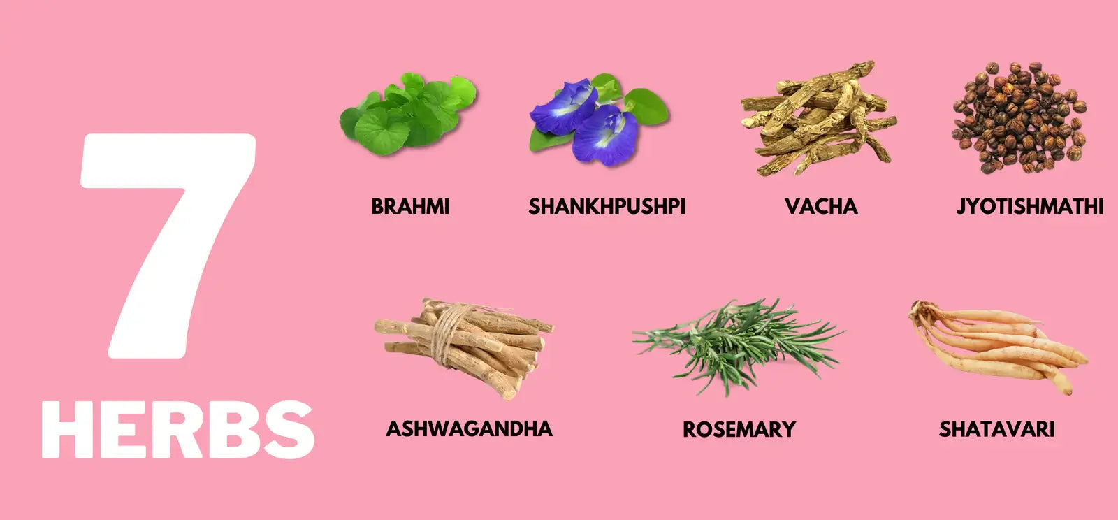Better Herbs - Brainify Powder - Brahmi, Shankhpushpi, Vacha, Jyotishmathi, Ashwagandha, Rosemary, Shatavari - Product Page Banner