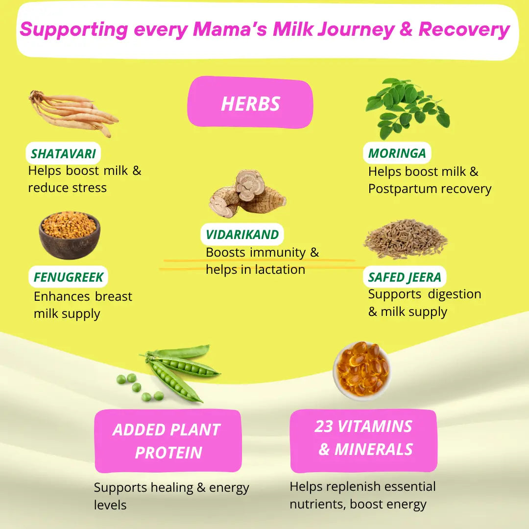 Better Herbs Lactify Lactation Protein Powder Vanilla 650 gm Herbs and 23 essential vitamins and minerals