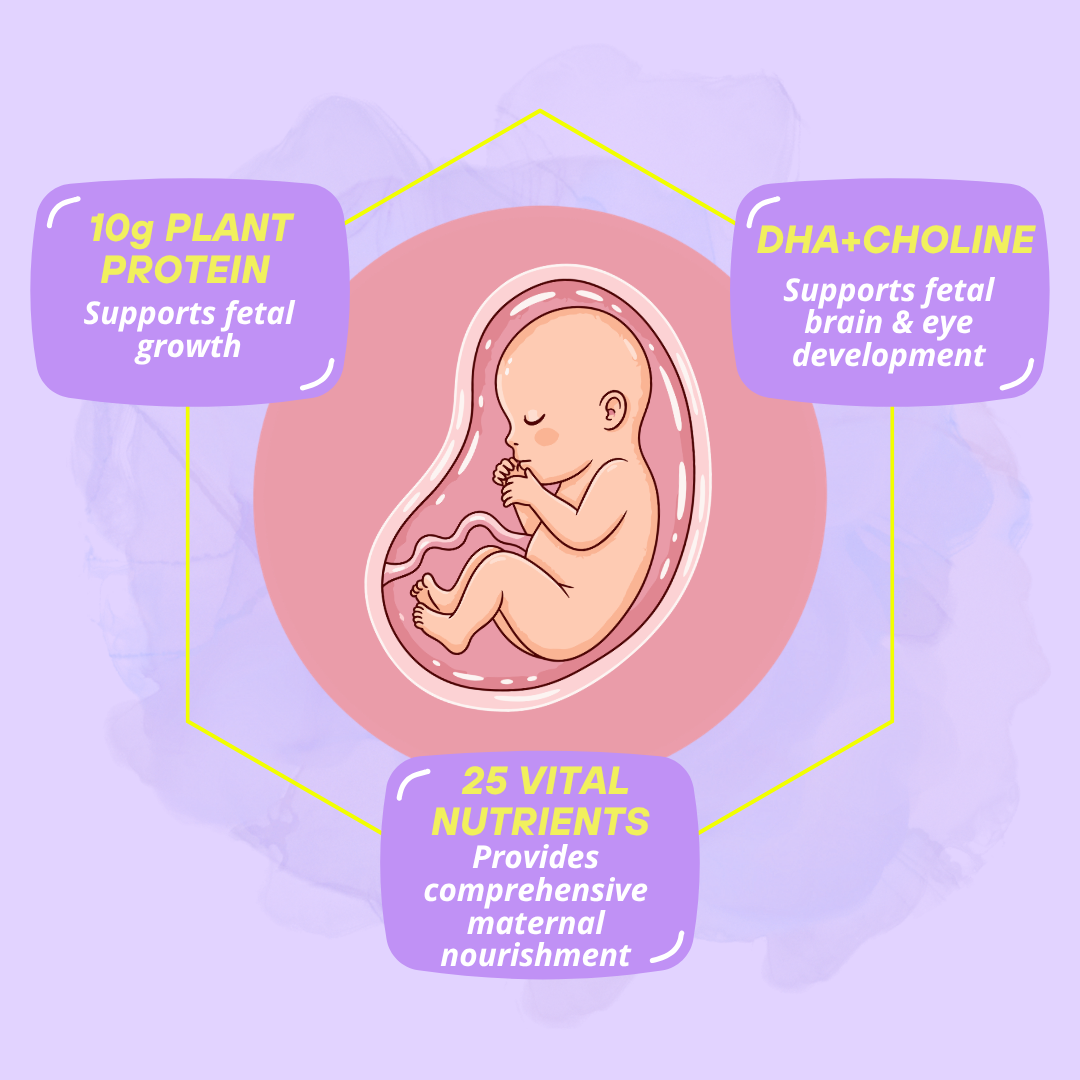 Mamafy Pregnancy Nutritional Protein Powder